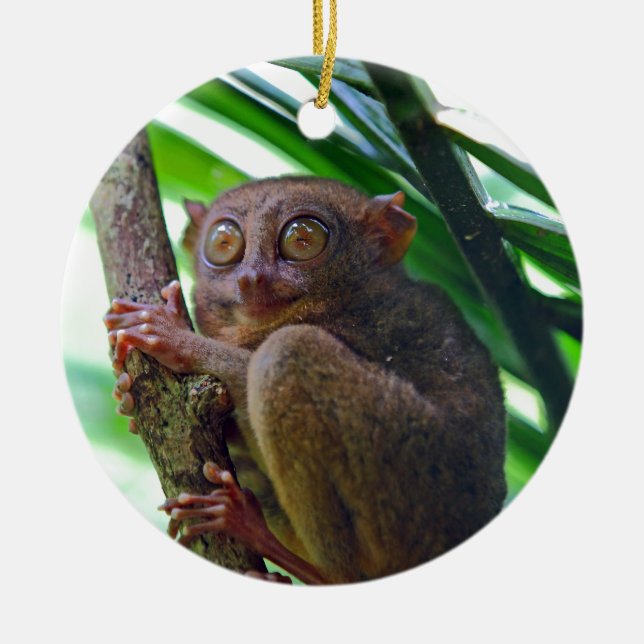 Ornamento De Cerâmica Tiny Philippine Tarsier (Frente)