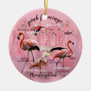 Ornamento De Cerâmica Tipografia cor-de-rosa   do flamingo personalizado