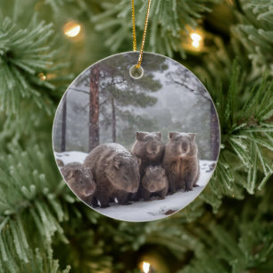Ornamento De Cerâmica Toca Congelada: Família de Wombats Australianos