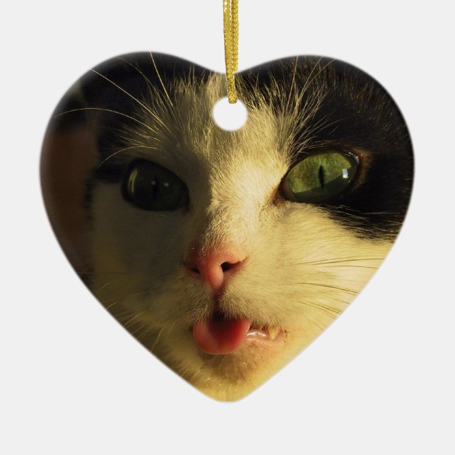 Ornamento De Cerâmica Tongue Cat (Frente)