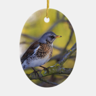 Ornamento De Cerâmica Tordo de zimbro