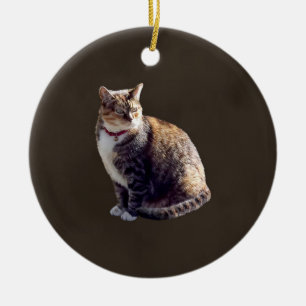 Ornamento De Cerâmica Tortoisinferno Cat
