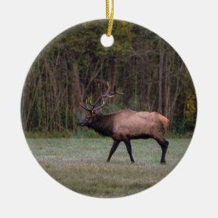 Ornamento De Cerâmica Touro Elk Morning Walk