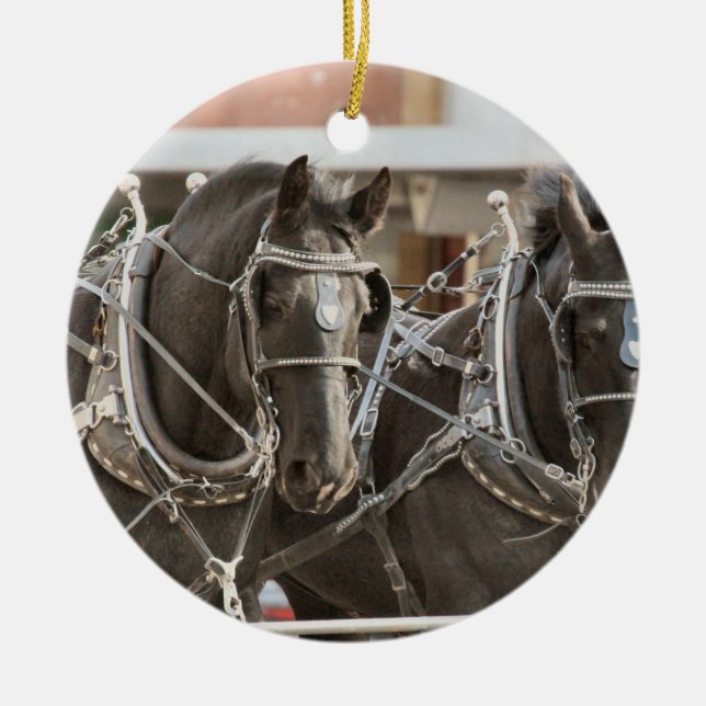 Ornamento De Cerâmica Trabalho em equipe (Frente)