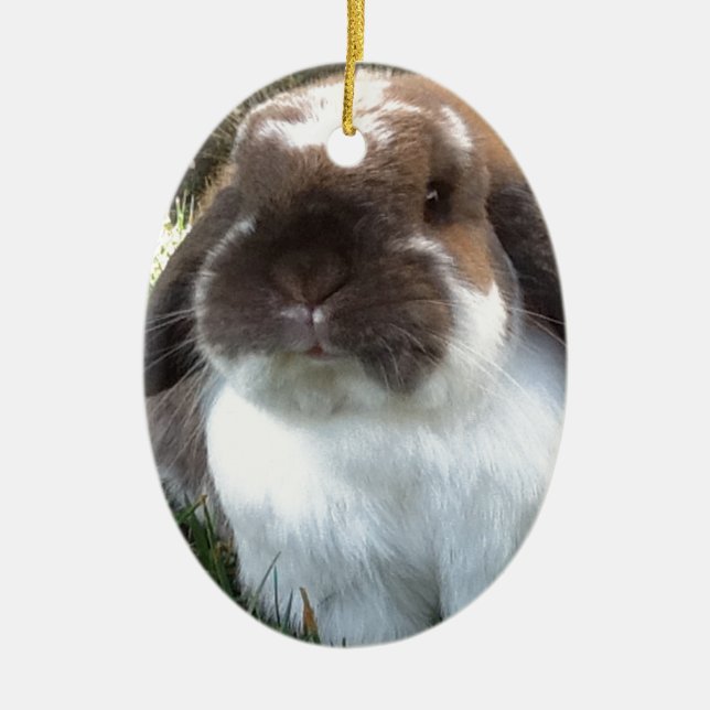 Ornamento De Cerâmica Traga algum furriness em sua vida! (Frente)