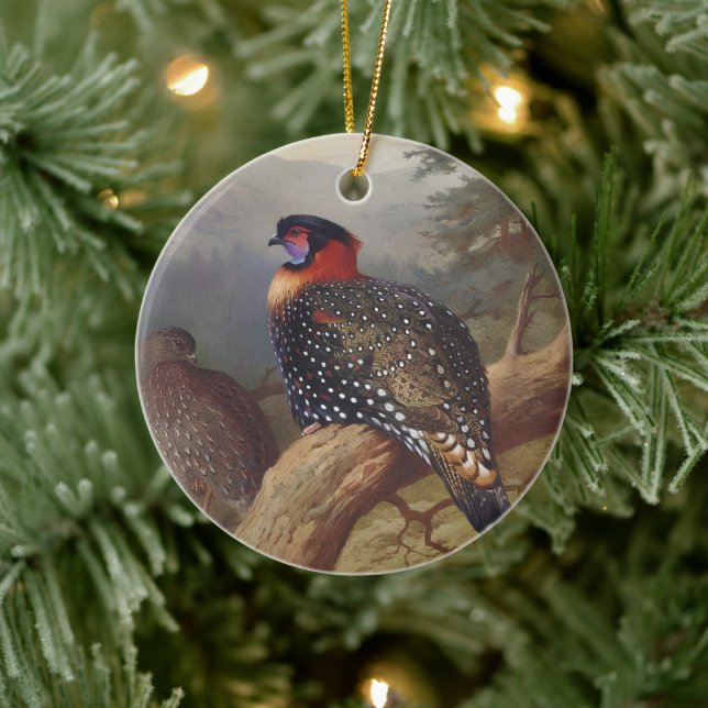 Ornamento De Cerâmica Trama Ocidental, Ilustrações de Aves (Árvore)