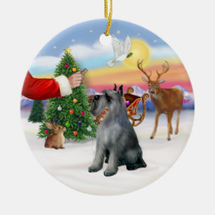 Ornamento De Cerâmica Tratamento para um Schnauzer Gigante (S/P)