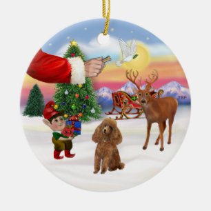 Ornamento De Cerâmica Tratar um Poodle Apricot (Brinquedo)