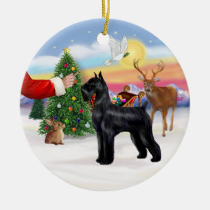 Ornamento De Cerâmica Tratar um Schnauzer Negro Gigante