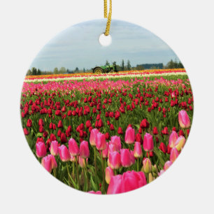 Ornamento De Cerâmica Trator Verde em Tulip Field, Oregon