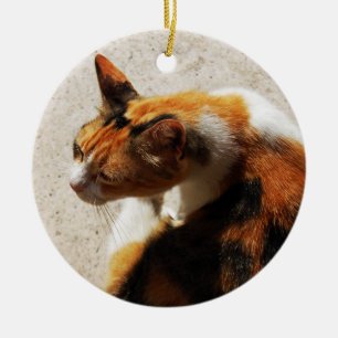 Ornamento De Cerâmica Tricolor Cat Ornament