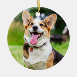 Ornamento De Cerâmica Tricolor Pembroke Welsh Corgi Puppy