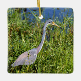 Ornamento De Cerâmica Tricolored Heron Wading In The Marsh