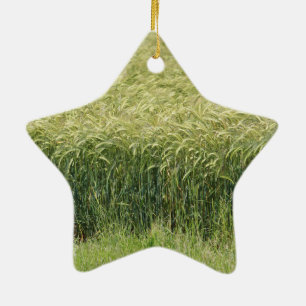 Ornamento De Cerâmica Trigo - Saboroso!
