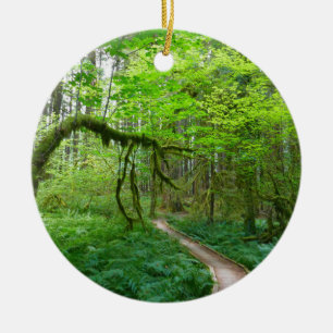 Ornamento De Cerâmica Trilha Ancient Groves no Parque Nacional Olímpico