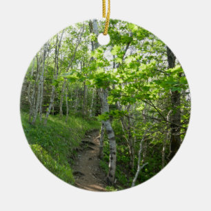 Ornamento De Cerâmica Trilha Florestal no Parque Nacional de Acadia