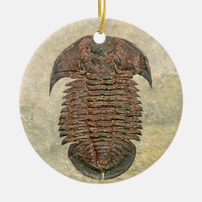 Ornamento De Cerâmica Trilobita Fóssil Yuepingia (Frente)