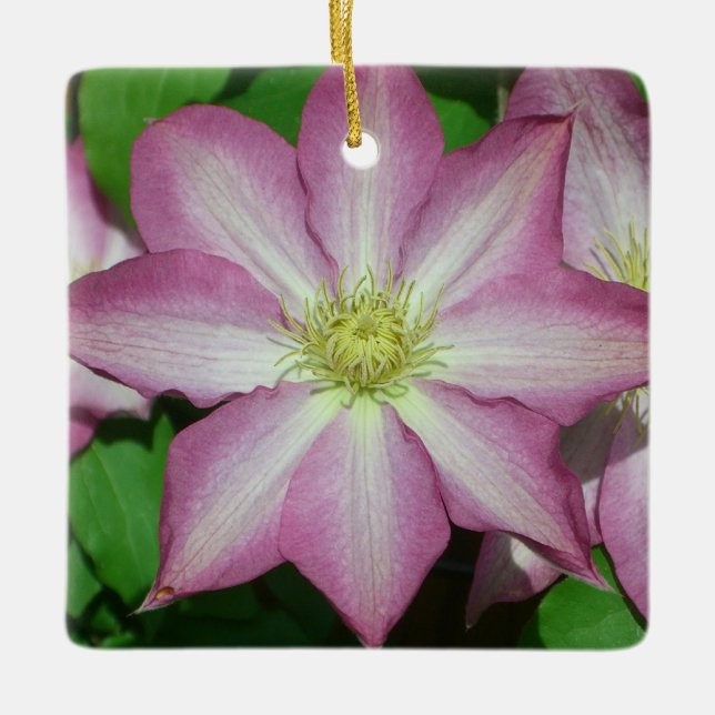 Ornamento De Cerâmica Trio de Vinha-Primavera branca e rosa-clematis (Frente)