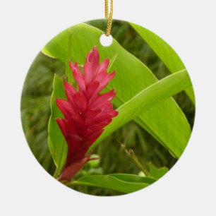 Ornamento De Cerâmica Tropical de Flor Vermelho Ginger (Alpinia)