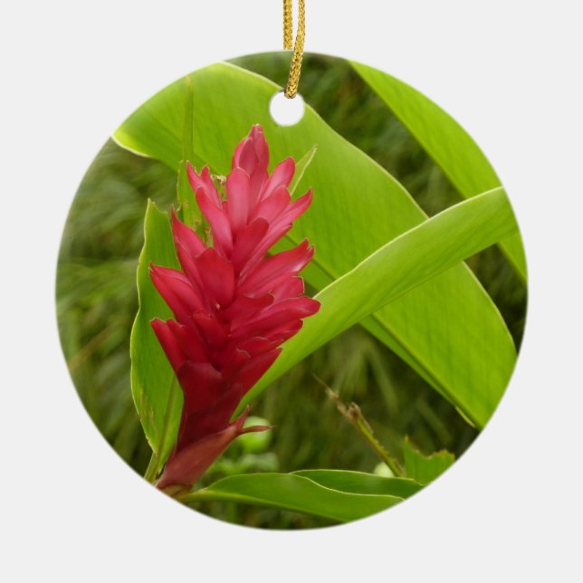 Ornamento De Cerâmica Tropical de Flor Vermelho Ginger (Alpinia) (Frente)