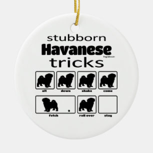 Ornamento De Cerâmica Truques de Havanês Stubborn