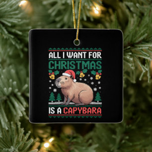 Ornamento De Cerâmica Tudo Que Eu Quero Para O Natal É Um Presente De Ca