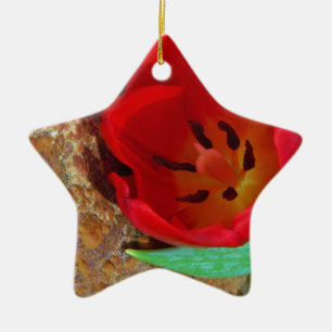 Ornamento De Cerâmica Tulipa amarela e vermelha do primavera