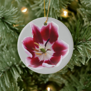 Ornamento De Cerâmica Tulipa vermelha profunda
