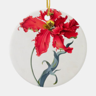 Ornamento De Cerâmica Tulipa: Vermelho de Perroquet