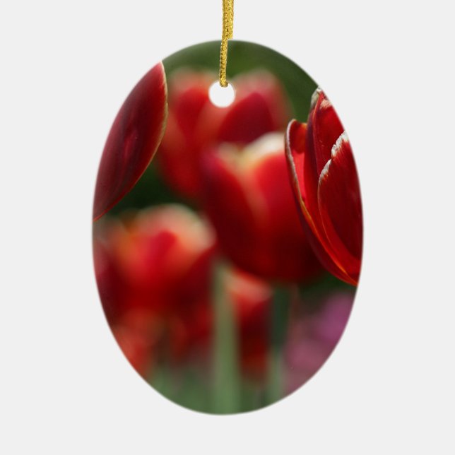 Ornamento De Cerâmica Tulipas (Frente)