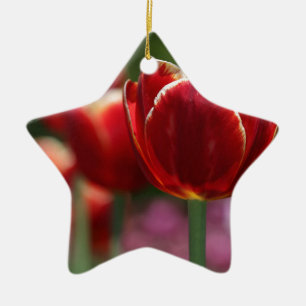 Ornamento De Cerâmica Tulipas