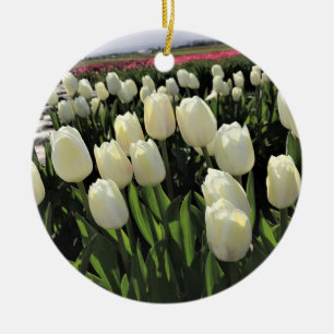 Ornamento De Cerâmica Tulipas brancas em campo, Oregon