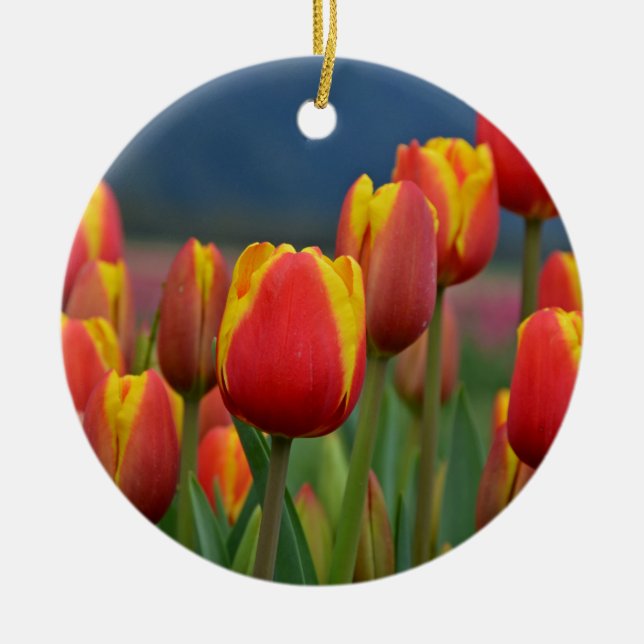 Ornamento De Cerâmica Tulipas para a mãe (Frente)