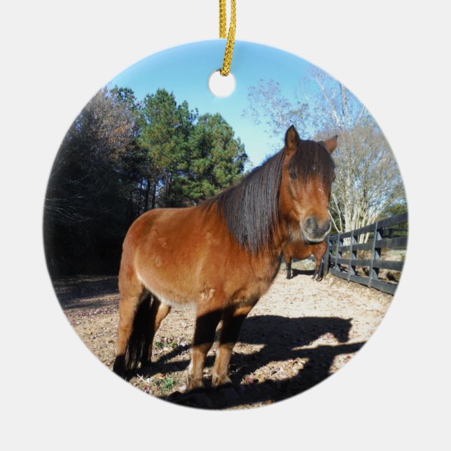 Ornamento De Cerâmica Turquesa do pônei castanho (Frente)