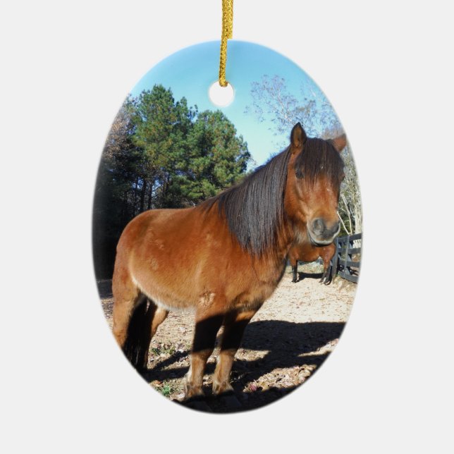Ornamento De Cerâmica Turquesa do pônei castanho (Frente)