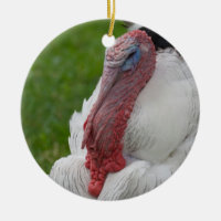 Turquia nacional