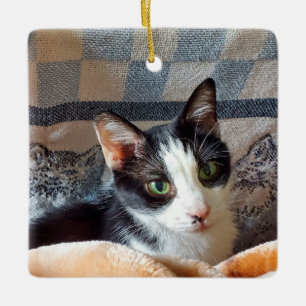 Ornamento De Cerâmica Tuxedo cat