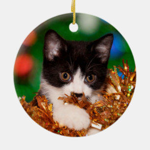 Ornamento De Cerâmica Tuxedo kitten Natal
