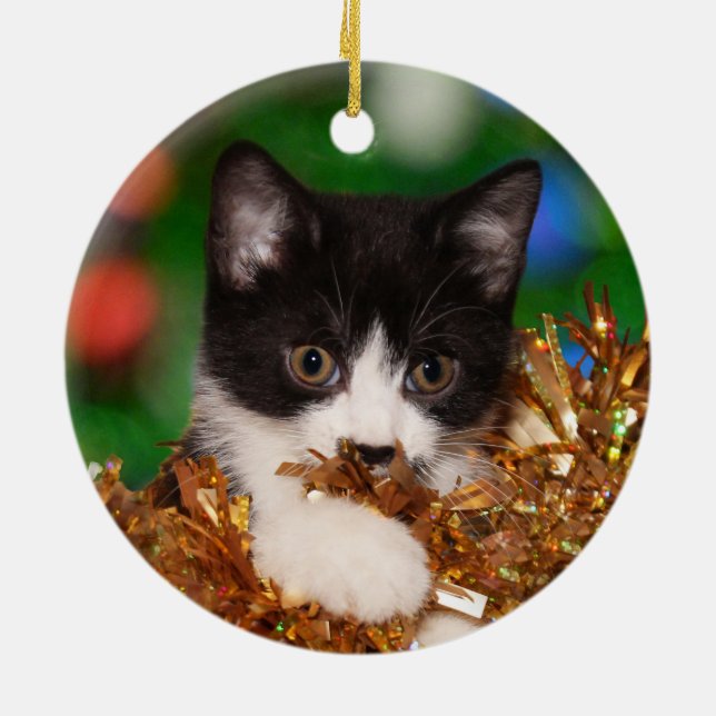 Ornamento De Cerâmica Tuxedo kitten Natal (Traseira)