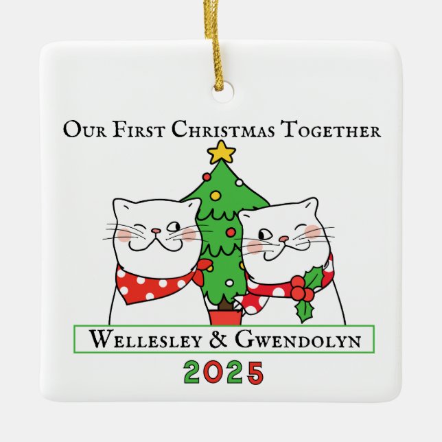 Ornamento De Cerâmica Two Cats First Christmas Together (Frente)