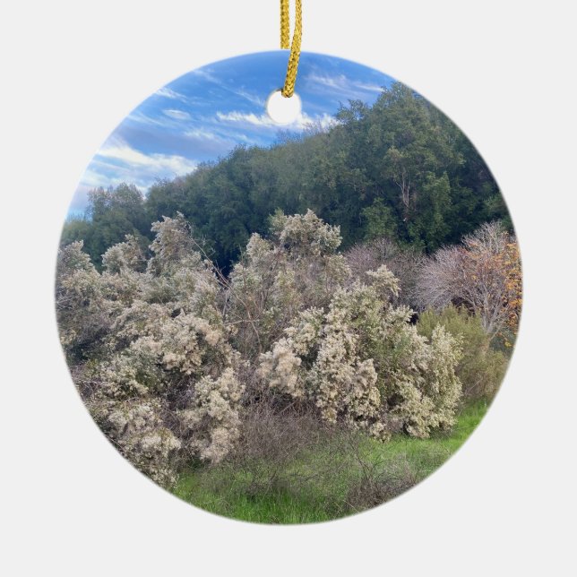 Ornamento De Cerâmica Um Blooming California - Um Blooming California Ce (Frente)