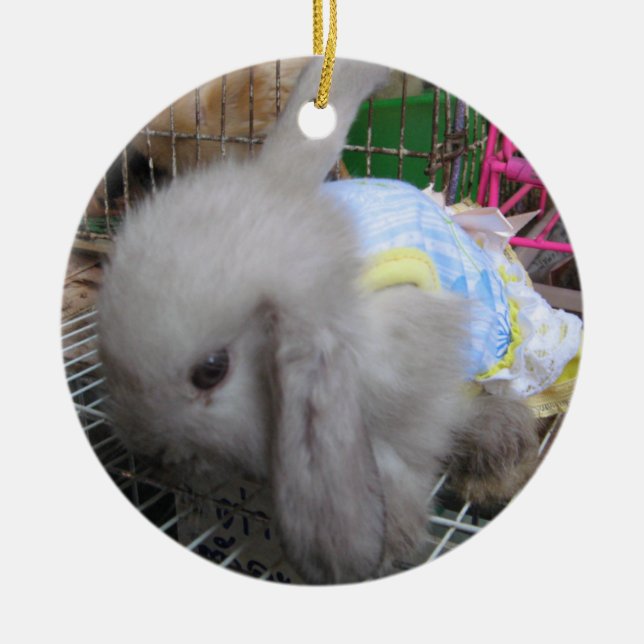 Ornamento De Cerâmica Um coelho num vestido (Frente)