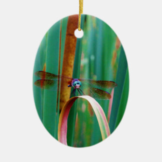 Ornamento De Cerâmica Um Dragonfly de Olhos Vermelhos com cattails