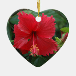 Ornamento De Cerâmica Um hibiscus vermelho