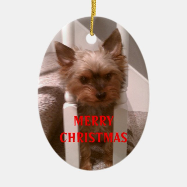 Ornamento De Cerâmica Um Natal alegre de Yorkie (Frente)