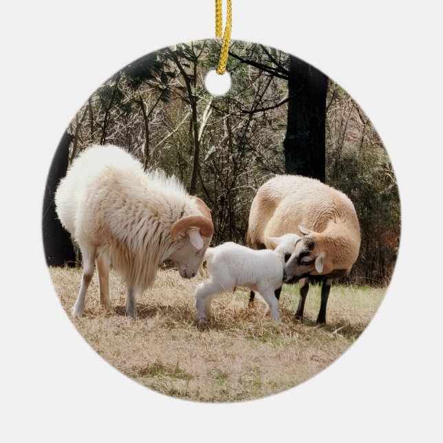 Ornamento De Cerâmica Um Natal para a fazenda (Frente)