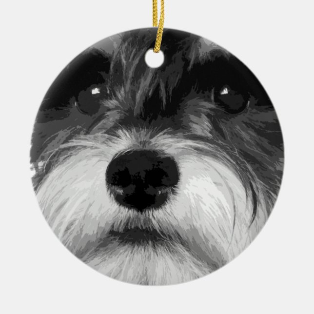 Ornamento De Cerâmica Um Schnauzer diminuto preto e branco (Frente)