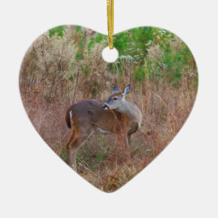Ornamento De Cerâmica Um veado na grama alta