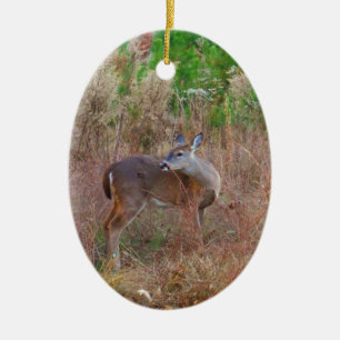 Ornamento De Cerâmica Um veado na grama alta