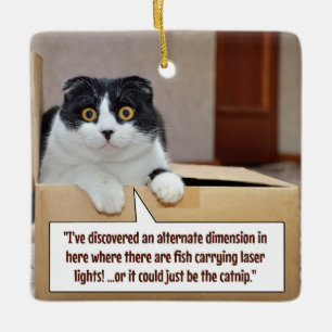 Ornamento De Cerâmica Uma dimensão alternativa